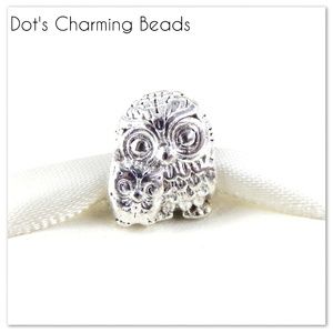 Mother & Baby Owl European Bead Mom Charm